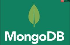 MongoDB如何优化索引占用空间 索引空间优化技巧释放存储