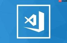 Vscode怎么显示空格和制表符?Vscode空白字符可视化设置