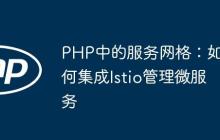 PHP中的服務(wù)網(wǎng)格：如何集成Istio管理微服務(wù)