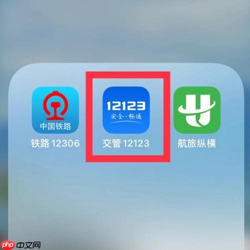12123查询行驶证电子版 12123查询行驶证检验有效期