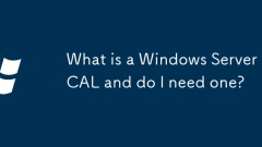Apakah Windows Server Cal dan adakah saya memerlukannya?