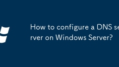 Bagaimana cara mengkonfigurasi pelayan DNS pada pelayan Windows?