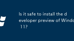 Is it safe to install the developer preview of Windows 11?