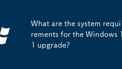 Windows 11 ?????? ??? ?? ??? ??????
