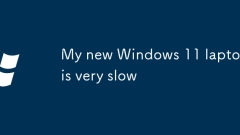 Komputer riba Windows 11 baru saya sangat perlahan