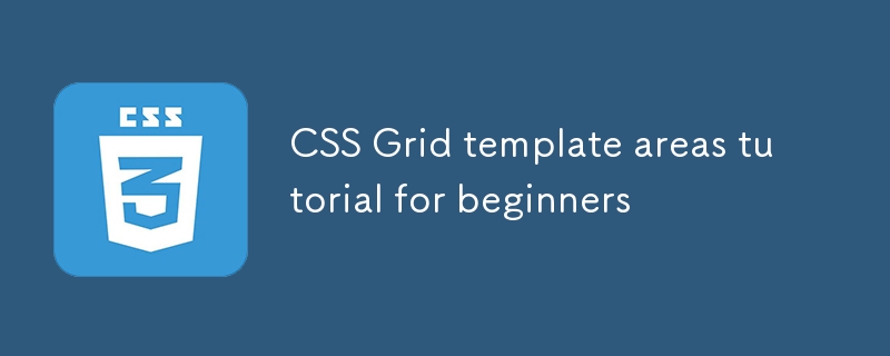 CSS ??? ??? ?? ?????? ???