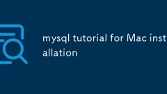 tutoriel MySQL pour l'installation de Mac
