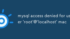 MySQL Accès refusé pour l'utilisateur 'root' @ 'localhost' mac