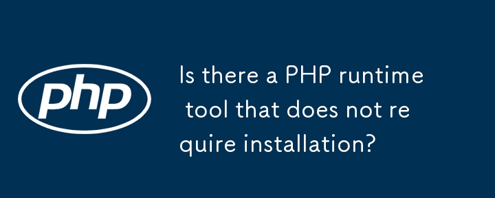 Gibt es ein PHP -Laufzeitwerkzeug, für das keine Installation erforderlich ist?