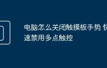 電腦怎么關(guān)閉觸摸板手勢 快速禁用多點觸控