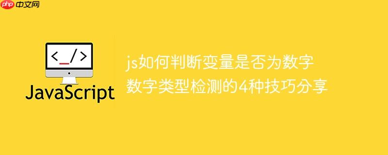 js如何判断变量是否为数字 数字类型检测的4种技巧分享