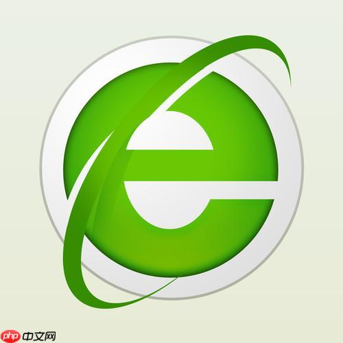 如何查看360浏览器的DNS缓存内容