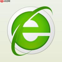 如何查看360浏览器的DNS缓存内容