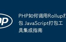 PHP如何調(diào)用Rollup打包 JavaScript打包工具集成指南