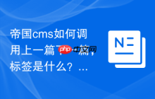 帝国cms如何调用上一篇下一篇，标签是什么？