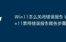 Win11怎么关闭错误报告 Win11禁用错误报告服务步骤