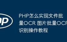 PHP怎么实现文件批量OCR 图片批量OCR识别操作教程