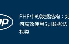 PHP中的数据结构：如何高效使用Spl数据结构类