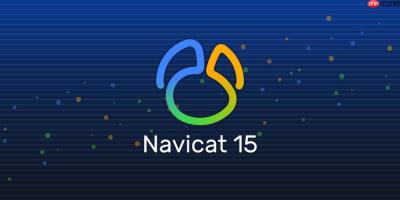 Navicat查询结果导出失败查询结果导出异常的格式转换技巧