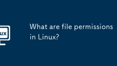 Linux? ?? ??? ??????