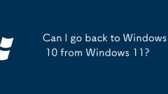 Can I go back to Windows 10 from Windows 11?