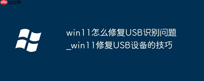 win11怎么修复USB识别问题_win11修复USB设备的技巧
