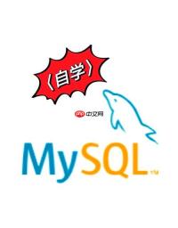 MySQL如何优化查询性能 10个索引优化技巧让查询快如闪电
