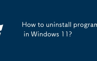 如何在Windows 11中卸载程序?