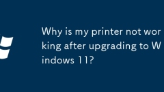 Mengapa pencetak saya tidak berfungsi selepas menaik taraf ke Windows 11?