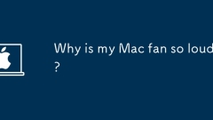Pourquoi mon fan de Mac est-il si fort?