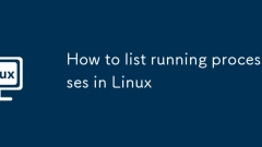 How to list running processes in Linux