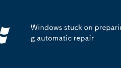 Windows stuck on preparing automatic repair