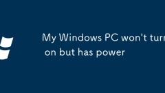 My Windows PC won't turn on but has power