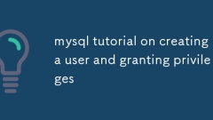 Tutoriel MySQL sur la création d'un utilisateur et l'octroi de privilèges