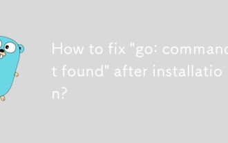 How to fix 'go: command not found' after installation?