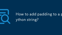 パディングをPython文字列に追加する方法は?