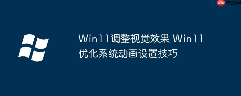 Win11调整视觉效果 Win11优化系统动画设置技巧