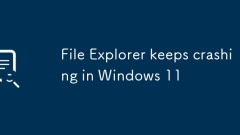 ?? ???? Windows 11?? ?? ?????