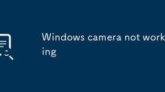 Windows ???? ???? ????