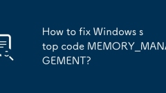 Windows ?? ?? Memory_Management? ???? ???