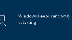 Windows? ???? ?? ?????