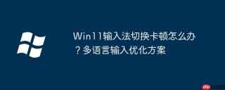 Win11输入法切换卡顿怎么办？多语言输入优化方案