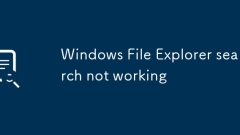 Carian Windows File Explorer tidak berfungsi