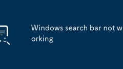 Windows search bar not working