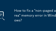 How to fix a 'non-paged area' memory error in Windows?