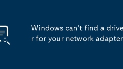 Windows can't find a driver for your network adapter