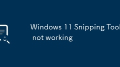 Windows 11 Snipping Tool not working