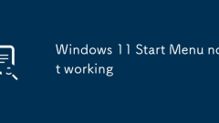 Windows 11 Start Menu not working
