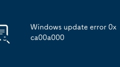 Windows -Update -Fehler 0xCA00A000