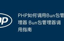 PHP如何調(diào)用Bun包管理器 Bun包管理器調(diào)用指南